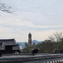명심보감 | [전주 나들이] 경기전 전주한옥마을 전주향교 봄꽃 구경/매화, 홍매화, 산수유/전주여행명소