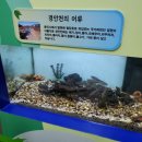 용인시기후변화체험교육센터 이미지