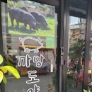 까망도야지