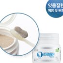 한국SHIDENTA 네이버블로그