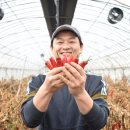 차정농장 이미지