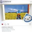 올리브노래연습장 | 제주 가성비 숙소 추천! 2년 연속 다녀온 새마을금고 제주연수원 변동사항 총정리