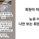 이로우라 이미지