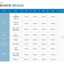 IA렌트카 Daum카페