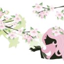 서재아로마