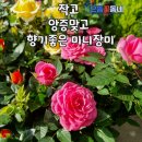 북유성대로(유성-28) 이미지