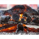 [전도서 04장] ⊙ 죽음이 인생의 모순과 부조리의 대안이 되지는 못합니다 (20251201) ​ 이미지