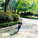 ⭐️9월 18일 꿈별반의 하루 - '우리나라의 전통놀이' ＜수.조작 - 우리반 친구들이 가장 좋아하는 전통놀이는?＞ 이미지