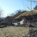 유정천리 이미지