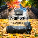 NIC PC | 니콘 미러리스 카메라 Z6III와 Z5II '마지막 가을을 담다'