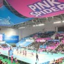 도약체육관 이미지