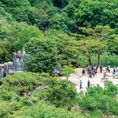 천하명당 이미지