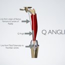 큐동물병원 이미지