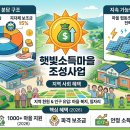 안인2리협동조합 태양광발전소 - 1 | 2026 햇빛소득마을 조성사업 총정리