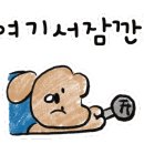 봄빛 안경 이미지