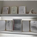 엔비모터스 이미지