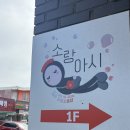 소랑회랑 | 제주 중문 소품샵 소랑아시 소품샵 선물가게 제주도 여행기념품 찾으러 서귀포소품샵 다녀온 후기