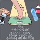 하이롤러울산 | 울산 크로스핏 그루브 | 기둥 세우던 헬스 탈출.. 크로스핏 정착 후기🔥