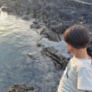 보름닭집 이미지