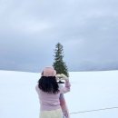 한그릇 | 일본 삿포로 여행 - 비에이 투어 "여행 한그릇" 예약 후기!