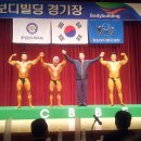 2013 충남도민체전 보디빌딩 일반부 -85kg 시상식 이미지