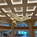 소노캄 제주 웨스트타워 이미지