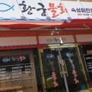 황궁물회