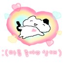 그랜드디테일링 이미지