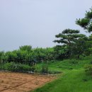 억만농장 이미지