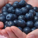 싱싱슈퍼 이미지