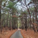 옵티마대학약국 | 50대를 앞두고 시작하는 운동과 다이어트