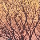 청주내수도서관 | 충북 내수 맛집 친절한 사랑가득 샤브&amp;구이 샤브샤브