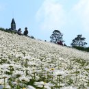 마지기로 이미지