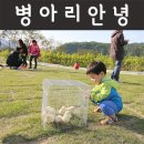 포레스트12 이미지