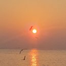 횡계고려의원 이미지