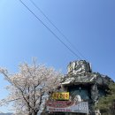 오닭먹자 | 과천 서울대공원 맛집 추천 오닭먹자 오리주물럭 내돈내산