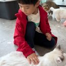 그루밍라운지 이미지