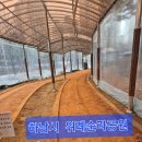 “땅의 기운과 소통하는 맨발 걷기, 최소 30분 이상 3일에 한 번은 해보자” 이미지