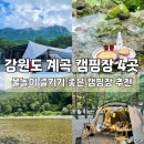 횡성 온새미로 캠핑장 | 강원도 물놀이 하기 좋은 캠핑장 4곳 추천 ! 계곡 앞 캠핑은 더위를 잊게 해 🏖️