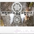 핸즈본 네이버블로그