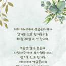 제이제이앙금플라워 이미지