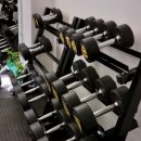 헤이스짐 이미지