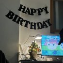 트리트멍멍 이미지