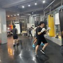 퍼펙트복싱짐 이미지