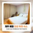 까망펜션 | 제주 한림 숙소 애월 독채 서쪽 펜션 제주소랑 in 팜스빌리지