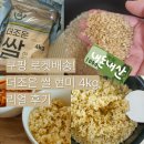 조운 | 현미밥 다이어트 시작! 쿠팡에서 산 '더조운 쌀 현미4kg' 솔직 후기 내돈내산 이야기