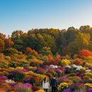 한서목장 | 충남 9월 가을축제, 가족과 함께 가을 축제 BEST 5