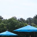 시민운동장(관리실) | 창원무료애견운동장 창원시시민공간 무료애견놀이터 &#34;펫빌리지놀이터&#34; (+노키즈존, 주차, 입장방법...