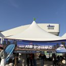 댕댕아 | 댕댕크루즈 여의도 한강 | 강아지랑 크루즈 다녀온 후기 🛳️🐾