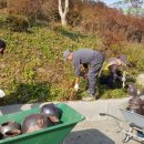 동강중학교 이미지